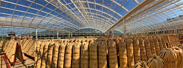 1735019395123039010.jpg 千两茶2.jpg