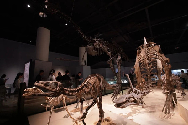 1749205001153021675.jpg 3.jpg