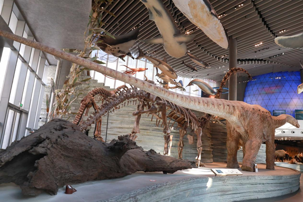 1749205637403071917.png 3.png