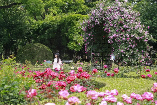 1749436410667028831.jpg 1.jpg