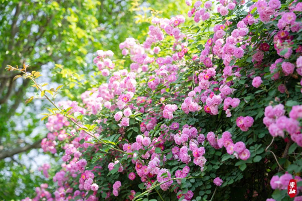 1749436449359057096.png 3.png