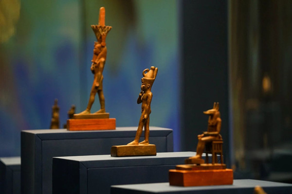 1749447947105089210.jpg 1.jpg