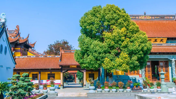 1749449702647028438.jpg 2.jpg