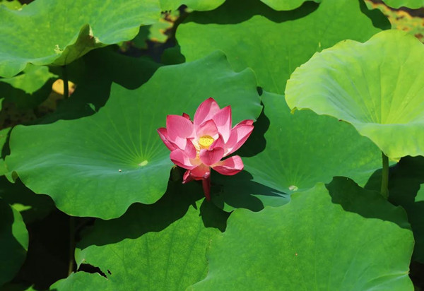 1751865336013022404.jpg 宝山2.2.jpg