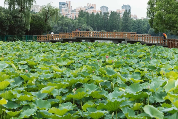 1751941044379041957.jpg 12.jpg