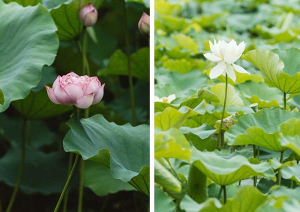 1751941067338021680.png 11.png