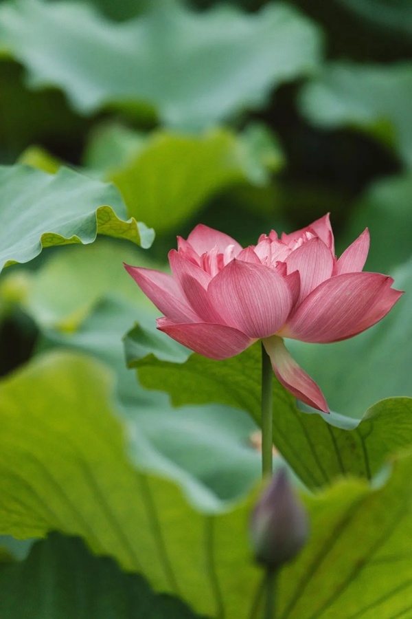 1751941083526008147.jpg 13.jpg