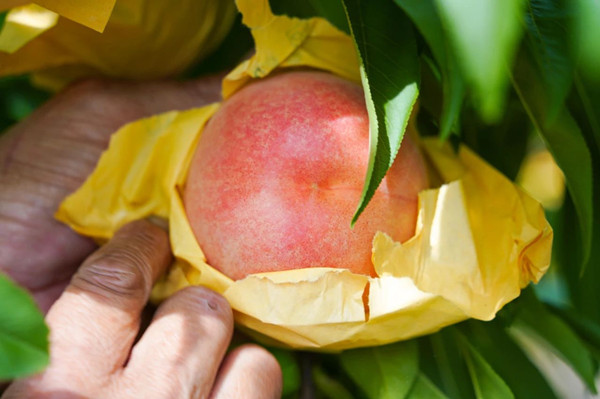 1752047351160026696.jpg 1.jpg