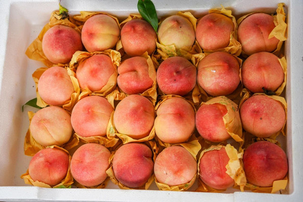 1752047362871052244.jpg 2.jpg