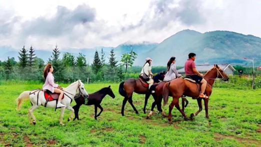 1754874959405005201.jpg 图片1.jpg