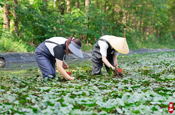 1761112602939027736.jpg 767210766.jpg