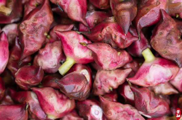 1761112652328085512.jpg 1041197701.jpg