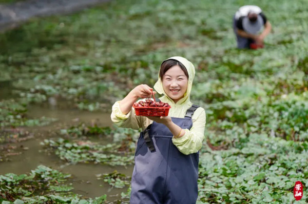 1761112688238039668.jpg 3798638340.jpg