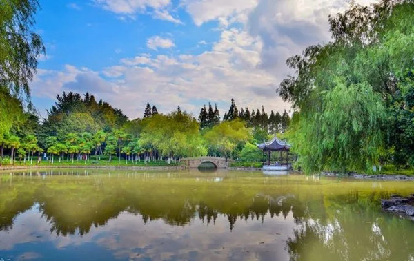 1761116185151065322.jpg 2187262441.jpg