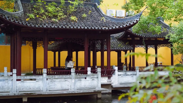 1761116247760046478.jpg 434550604.jpg