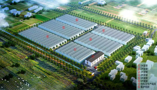 1761116644631034046.jpg 1926734267.jpg