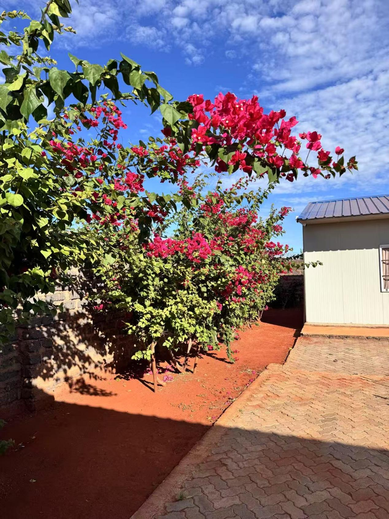 1761290381361026252.png 1761290381361026252.png