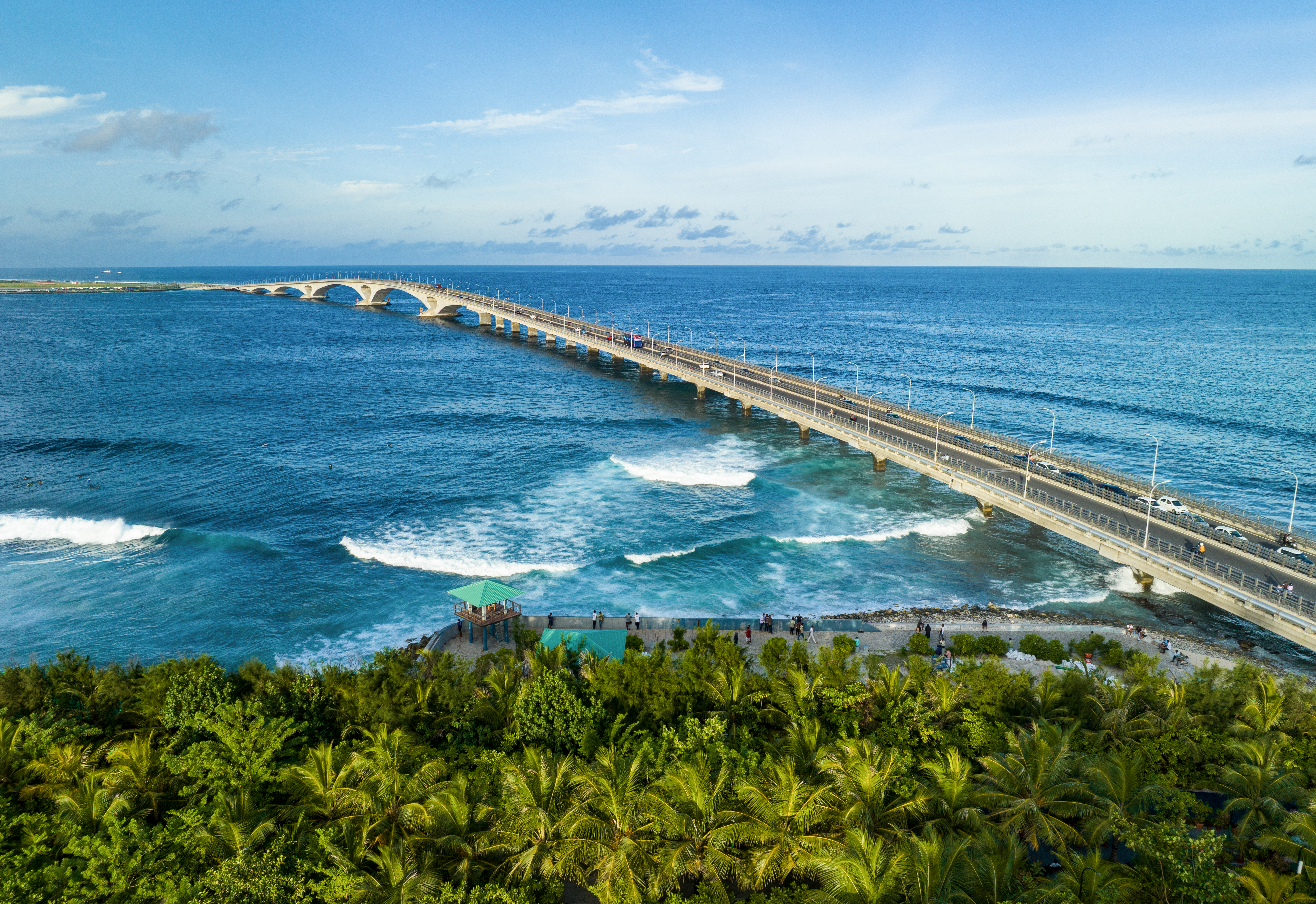 1761298215898093152.jpg 1761298215898093152.jpg