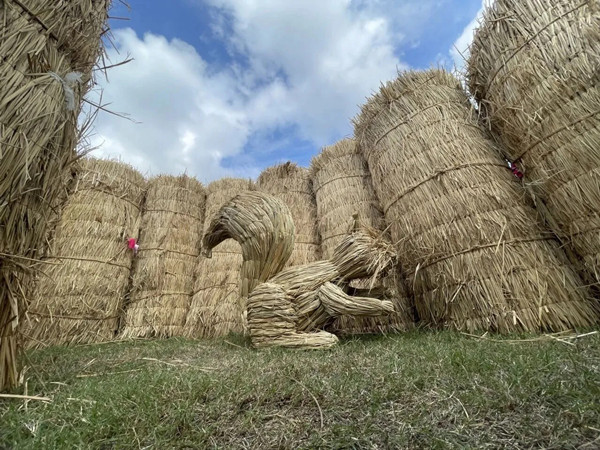 1761636143277009797.jpg 移动1.jpg