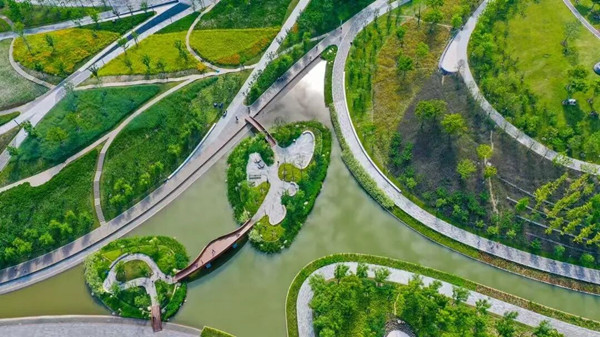 1761721429481027179.jpg 6405.jpg