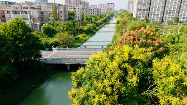 1761812260252000507.jpg 168814907.jpg