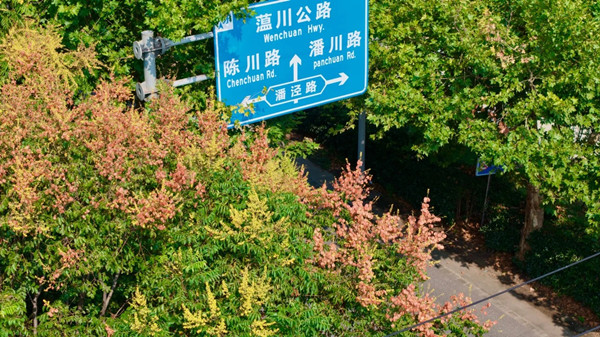 1761812296140029467.jpg 1426161148.jpg