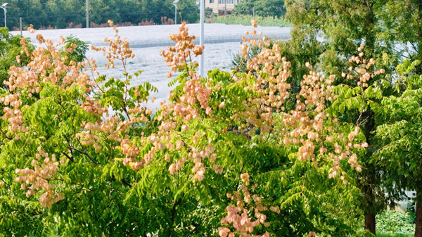 1761812333317026613.jpg 1051627725.jpg