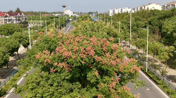 1761812354339098312.jpg 2700752468.jpg