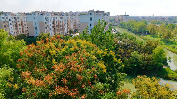 1761812374511022640.jpg 2209085696.jpg