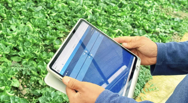 1762331937669003343.jpg 金山6.jpg