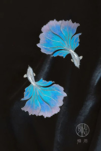 1763515248457095083.jpg 2.jpg