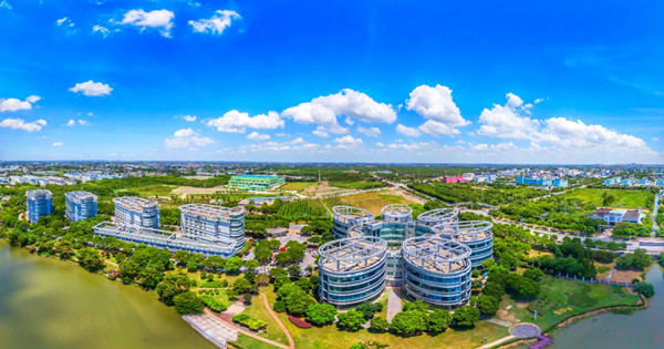 1763535330386084397.jpg 93892281.jpg