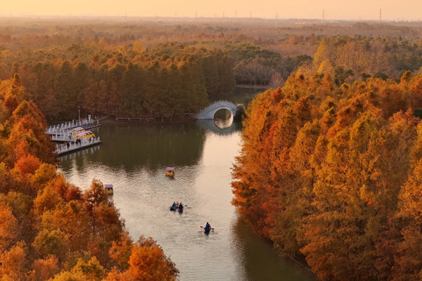 1764124551500064353.jpg 8.jpg