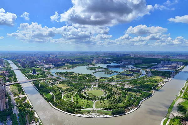 1764124563291060037.jpg 9.jpg