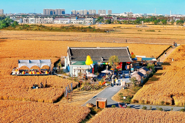 1764124577019004856.jpg 10.jpg