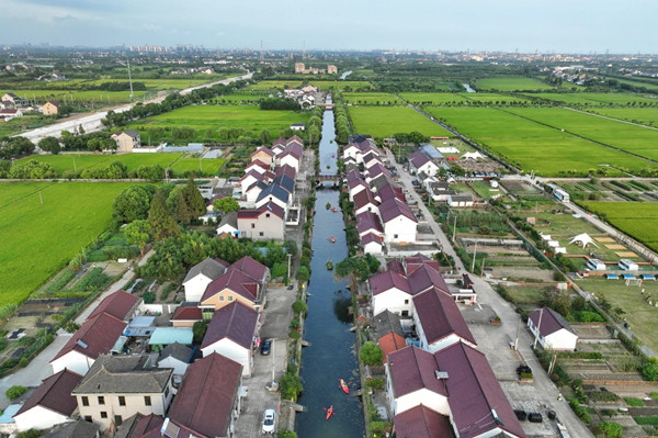 1764124583069004723.jpg 11.jpg