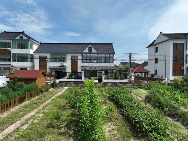 1764124602110026732.jpg 13.jpg