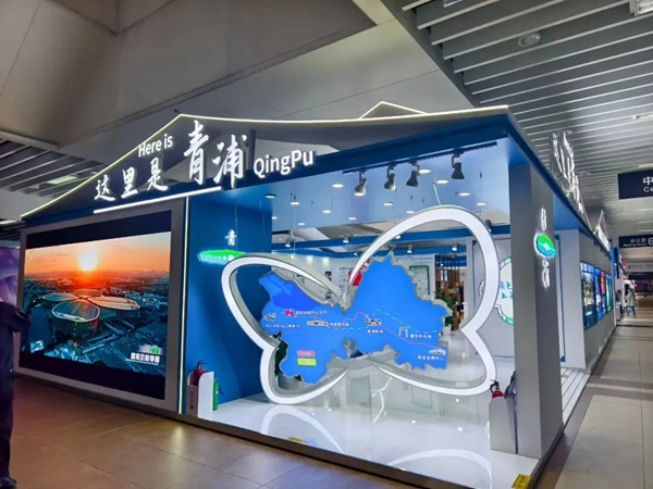 1765249243097095174.jpg 23.jpg