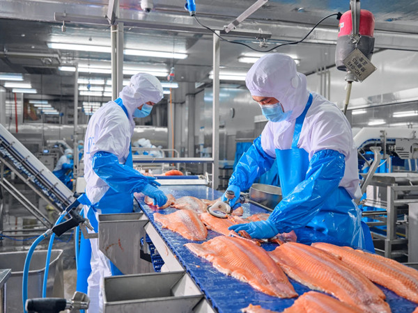 1765358754274081747.jpg 3066092211.jpg