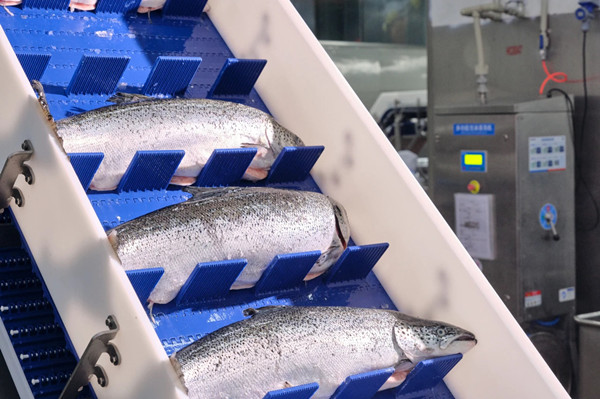 1765358780818025075.jpg 495252050.jpg