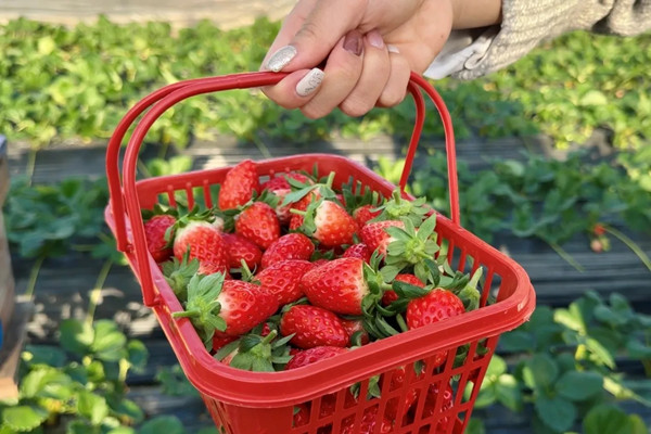 1767002901865020286.jpg 1354748640.jpg