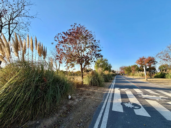 1767002971179099977.jpg 697472011.jpg