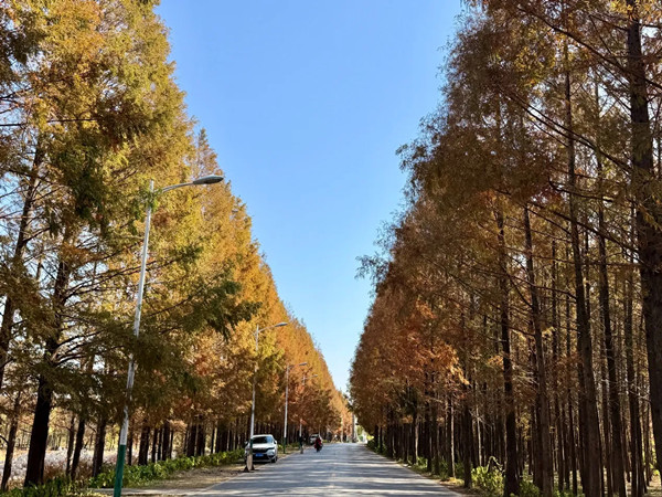 1767002995214045753.jpg 2090383230.jpg