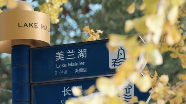 1767003909484024214.jpg 2914268768.jpg