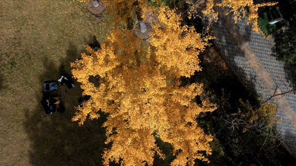 1767003924464029874.jpg 1534286867.jpg