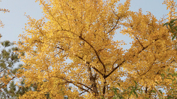 1767003939201091862.jpg 4142566314.jpg