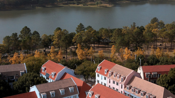 1767003961751041598.jpg 674521136.jpg