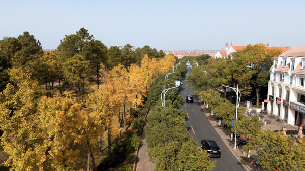 1767003970351099479.jpg 3642996467.jpg