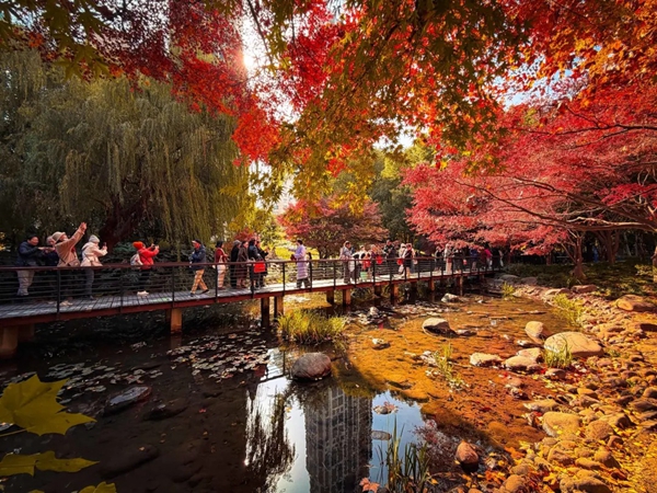 1767863801175063952.jpg 2.jpg