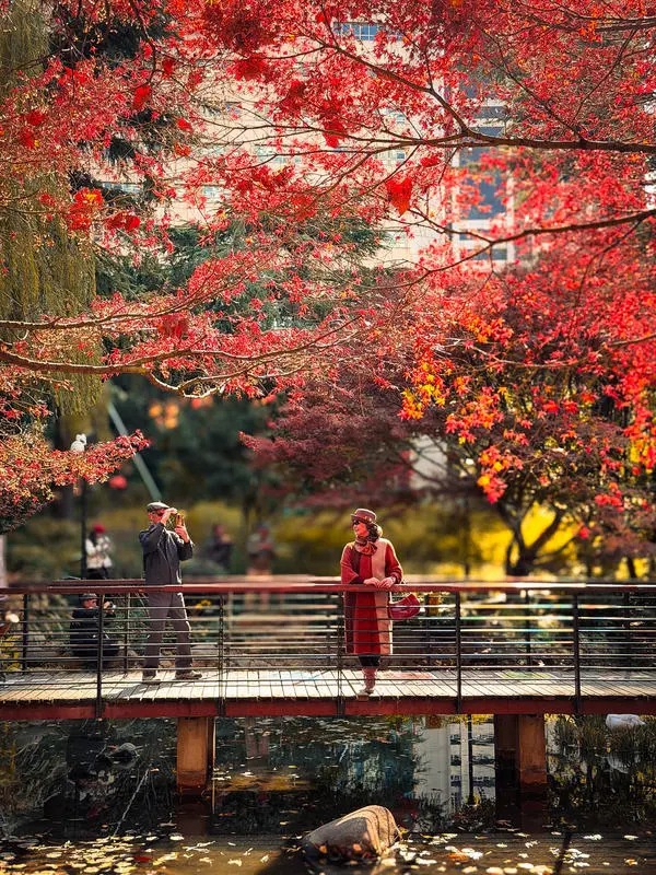 1767863814710055308.jpg 3.jpg